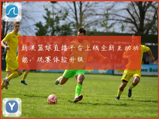 新浪篮球直播平台上线全新互动功能，观赛体验升级