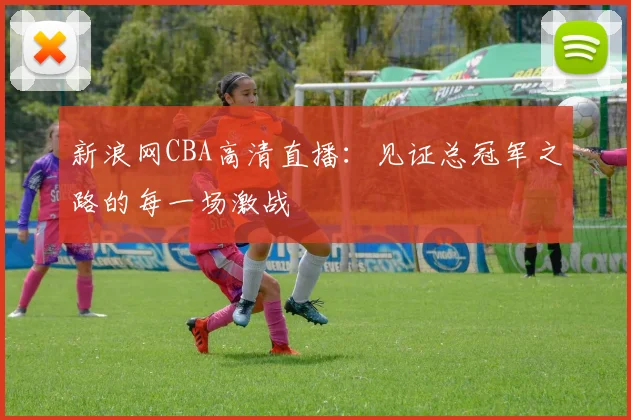 新浪网CBA高清直播：见证总冠军之路的每一场激战