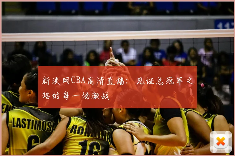 新浪网CBA高清直播：见证总冠军之路的每一场激战